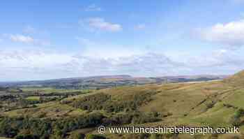 Holcombe to Peel Tower: A glorious walk with great views