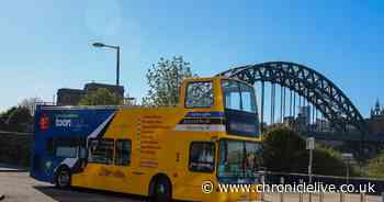 Newcastle route in the running to be named country's top bus tour title