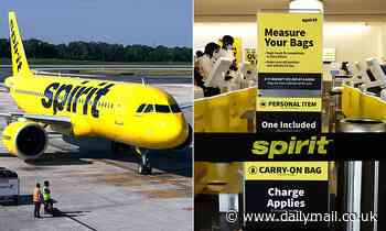 Spirit Airlines to pay out $8.25M after class-action lawsuit over bag fees of up to $100 designed to 'trick and trap consumers'