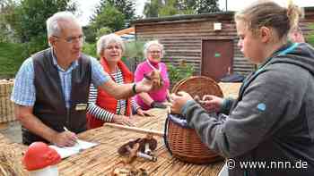 Pilzsaison in und um Rostock bereits in vollem Gange