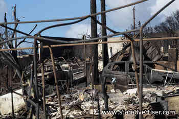 Maui wildfire survivors moving to more permanent shelter