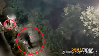 Ladro acrobata preso a bastonate dai condomini, salvato dal linciaggio