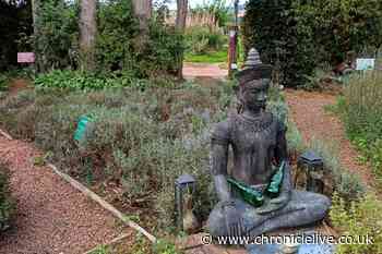 I visited the Northumberland garden named one of the most tranquil places in the UK