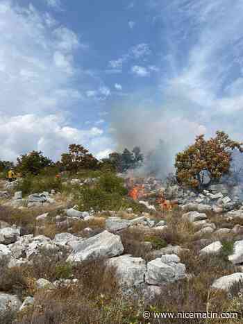 Plusieurs hectares brûlés au col de Vence: la propagation du feu évitée pour le moment