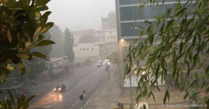 Temporali con forte vento sul Nord Italia: alberi caduti e tetti scoperchiati nel Milanese