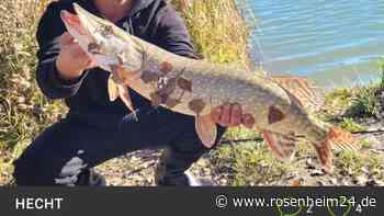 Fotoshooting eines Waldkraiburgers landet vor Gericht:  Harmloser Spaß oder Tierquälerei?