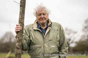 David Attenborough to star in Sky series about animal sounds