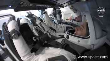 SpaceX's Crew-7 Dragon capsule to dock at ISS with four astronauts aboard. Here's how to watch it live online.