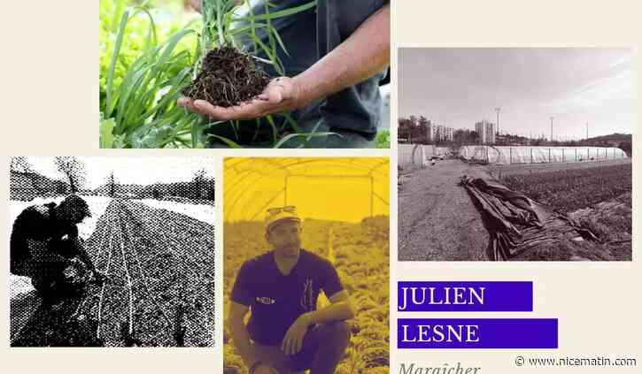 “Je vais devoir réduire mes plantations de 40%”. Ce maraîcher, témoigne de l'impact de la canicule