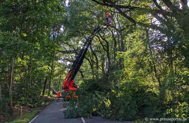 FW-MH: Herabgestürzter Ast blockiert Straße