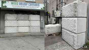 Two arrested after police search and shut down unlicensed cannabis store in Mississauga