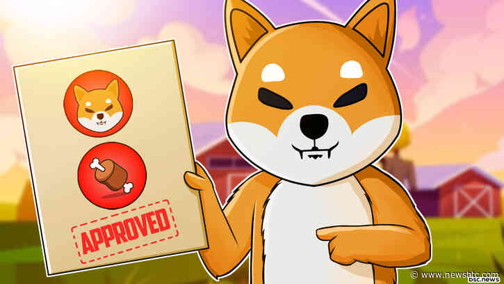 Shibarium Launch Proves Positive As Shiba Inu-Based BONE Celebrates New Milestone