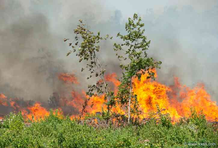 Gov. Greg Abbot sends resources to help combat fires in Lousianna