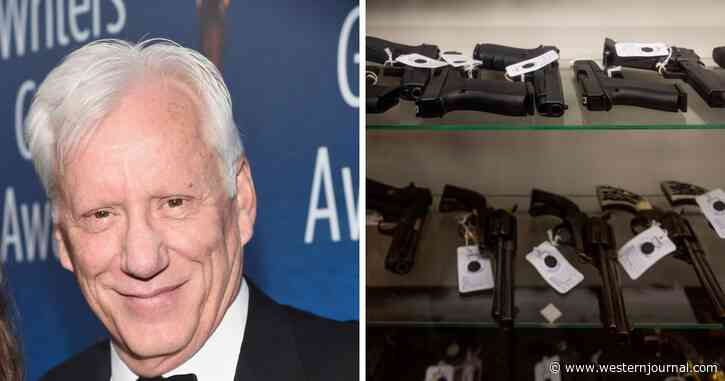James Woods Points Out a Big Problem with Gun Buyback: 'Good Idea, Slick'