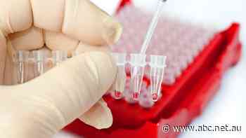 A vital ingredient for cancer research is in tight supply with the price rising