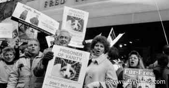 Bob Barker Fought Animal Cruelty Through Philanthropy and Activism