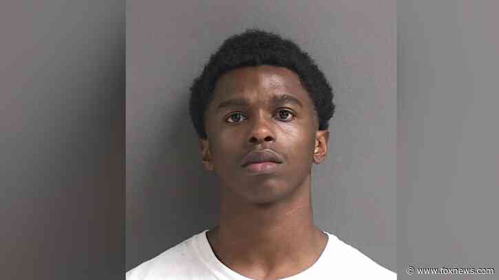 Florida deputies arrest man wearing 'Scream' mask during 2 robberies: Officials