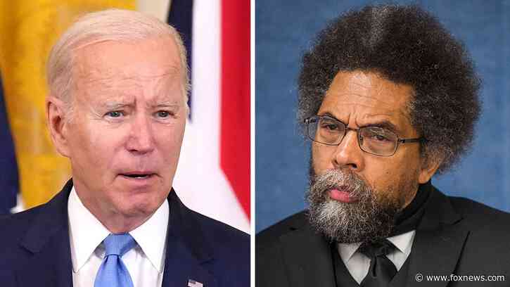 Cornel West roasts Dems as 'spoiler' polls roil the left: Neither party holds 'ownership' of the voters