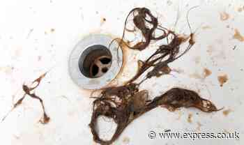 ‘Best ever’ item to unblock clogged drains ‘straight away’ - it ‘dissolves hair and gunk’