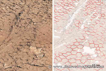 Life on Mars May Have Evolved Like a Nice Risotto – Not Too Moist and Not Too Dry