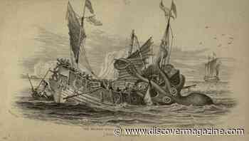 Are Sea Monsters Real? The Truth Behind These Famous Sea Legends