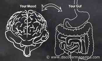 Psychotherapy Utilized to Hypnotize the Gut
