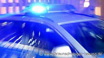 Jugendliche werfen im Kreis Wolfenbüttel Leitpfosten auf Straße