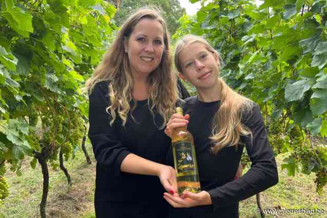 Domein Walterus lanceert witte wijn van Vorselaarse wijngaard: “Perceel leent zich perfect voor deze druiven”