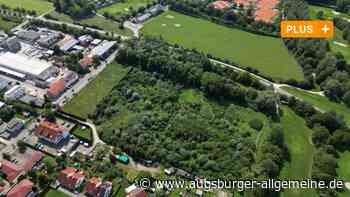 Bäume in Wald bei Pfuhl gefällt: Folgen Wohnungen oder wie geht es weiter?