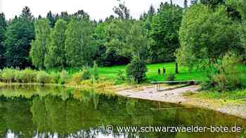 Gewässer bei Altensteig: War’s das mit  Baden im Bömbachsee für 2023?
