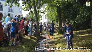 In Königslutter schwimmen alle Entchen im Lutterbach