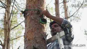 Using Solar-Powered AI Sensors to Detect Wildfires Earlier     - CNET