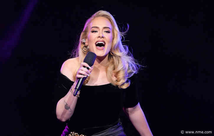 Adele stops Vegas show to defend fan from security guard