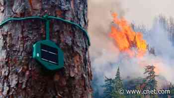 Electronic Nose 'Smells' Wildfires for Ultra-Early Detection video     - CNET