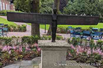 The Dutch art museum with a mini version of an iconic North East landmark