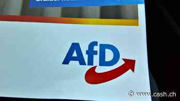 Hofreiter nennt AfD «Truppe von Landesverrätern»