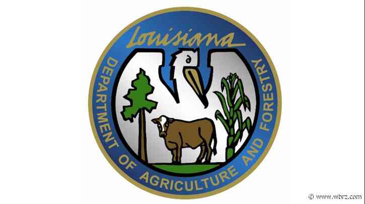 LDAF releases update on the Tiger Island fire in Beauregard Parish
