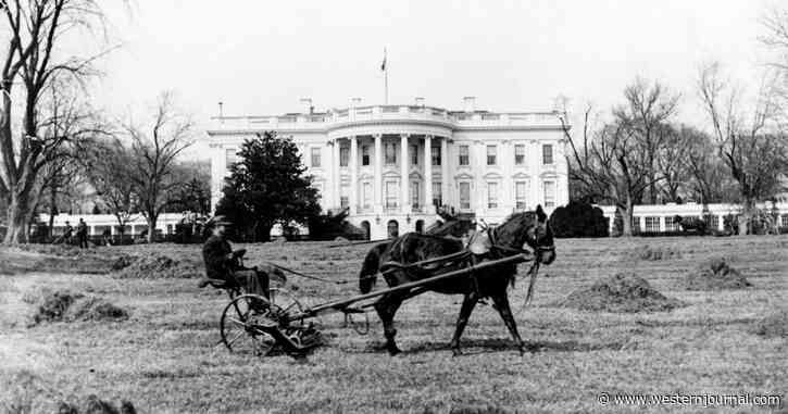 How the Rich Men Settled North of Richmond
