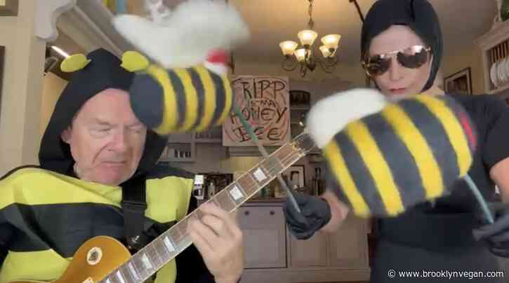 Watch Toyah & Robert Fripp cover The Hives “Hate to Say I Told You So”
