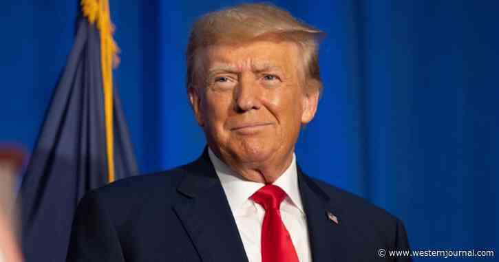 Trump Used His Mug Shot to Flip Script on Democrats, And It Paid Off Big in Fundraising Numbers