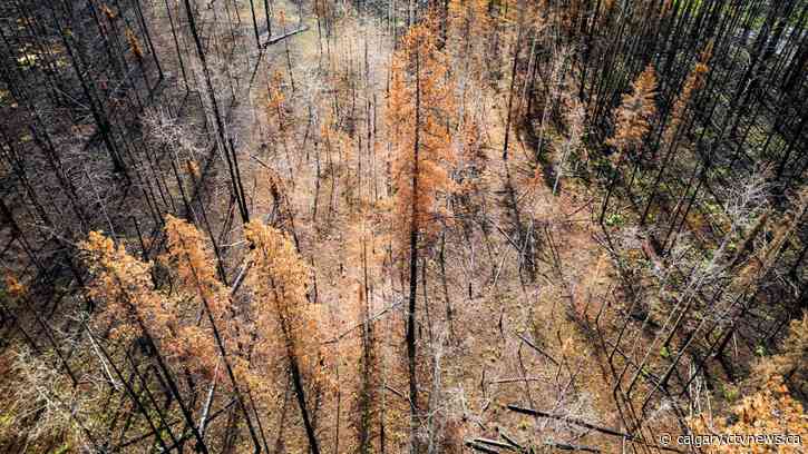 Calgary brigade heading for B.C. to assist with firefighting operations