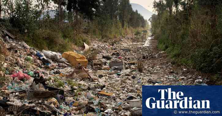 Growing number of countries consider making ecocide a crime