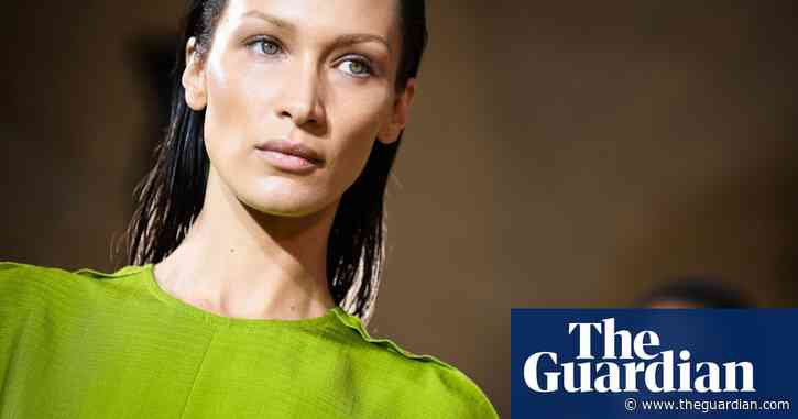 Supermodel Bella Hadid called an ‘Israel hater’ by far-right, pro-settler minister