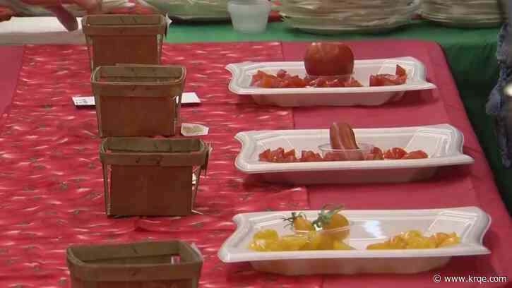 Annual Albuquerque tomato festival returns for 14th event