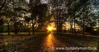 The best park in Hull as voted for by you - by a landslide