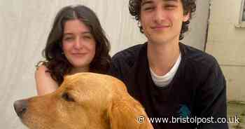 Bristol renters with medical assistance dog denied flat