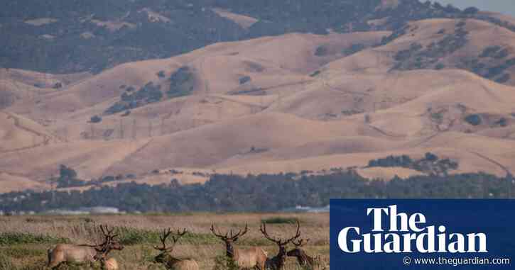 Silicon Valley elites revealed as buyers of $800m of land to build utopian city