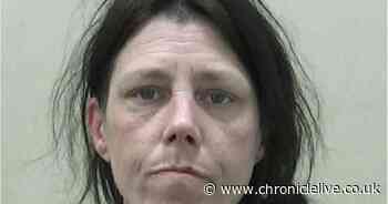 Serial shoplifter walked around 'without a care' as she targeted Washington Co-op 18 times