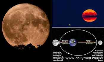 2023's rare 'super blue moon' rises this week: How and when to watch