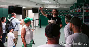 Stadionführung am Spieltag gegen Mainz